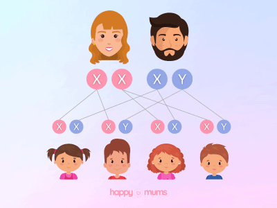 Junge oder Mädchen: Anzeichen, Rechner und die Vorhersage des Geschlechts Junge oder Maedchen (1)
