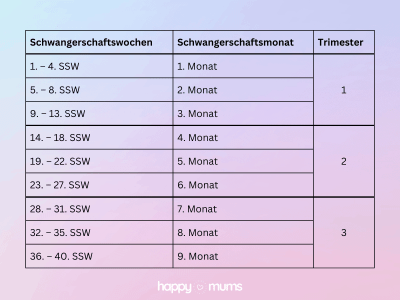 Schwangerschaftswochen (SSW), -monate und Trimester SSWs