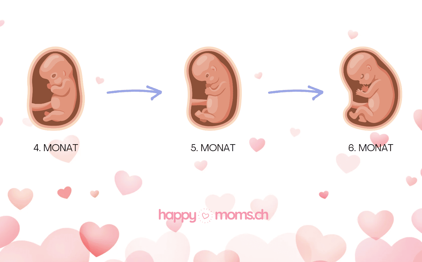 Elegantes Darmkrmpfe Schwangerschaft 2 Trimester Ebenbildnull