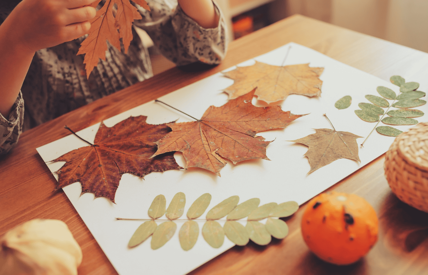 Kreative Herbstaktivitäten für Kinder: Entdecke spielerische Bastelideen, Zahlenübungen und Schatzsuchen. Perfekt für den Herbst – mit kostenlosen Vorlagen zum Download!