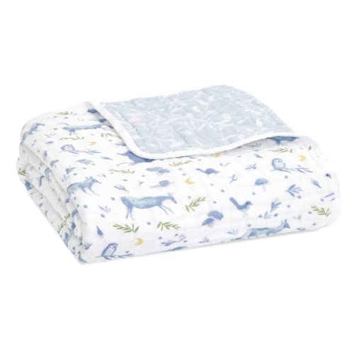 aden + anais Dream Babydecke (Outdoor Blau)