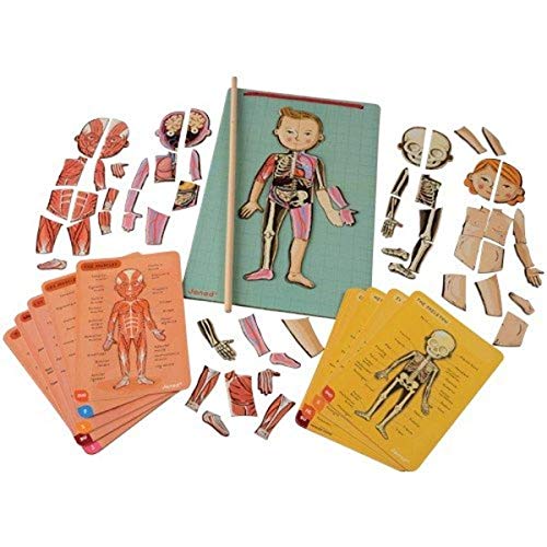 Janod Bodymagnet Educational Human Body Game