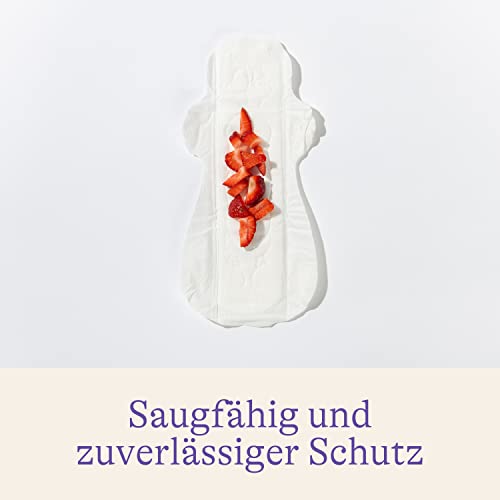 Lansinoh Wochenbett-Einlagen – 2 × 12 Stück
