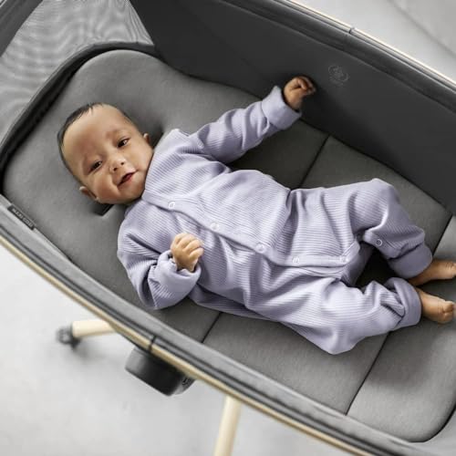 Maxi-Cosi Alba All-in-1 Hochstuhl – Beyond Green
