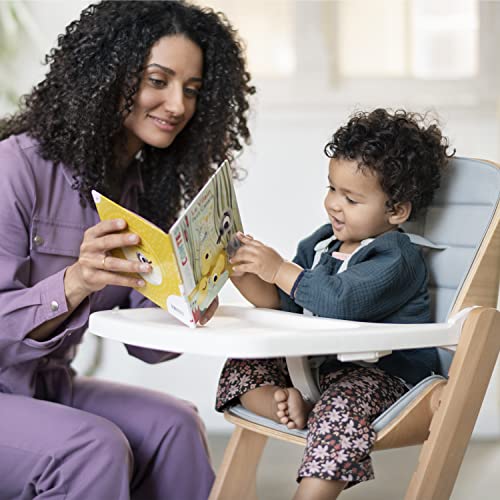 Maxi-Cosi Nesta Baby- und Kleinkinderset – Beyond Sky Grey