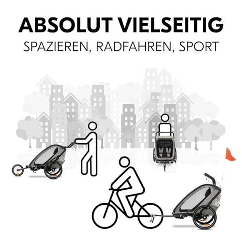 Hauck Fahrradanhänger Bike N Walk Duo 3-in-1 – Light Grey