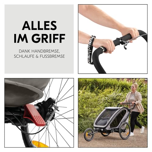 Hauck Fahrradanhänger Bike N Walk Duo 3-in-1 – Light Grey
