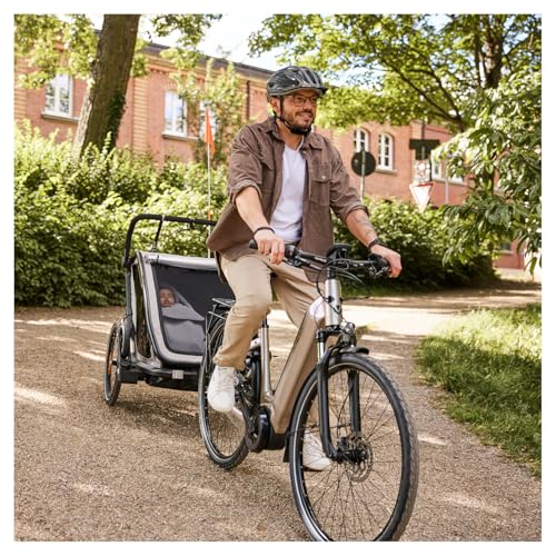 Hauck Fahrradanhänger Bike N Walk Duo 3-in-1 – Light Grey