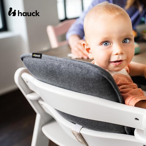 Hauck Alpha Cosy Sitzverkleinerer – für Alpha+, Beta+ & Arketa, Dunkelgrau