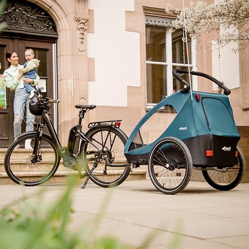 Hauck Dryk Duo 2in1 Fahrradanhänger für 2 Kinder – Grau