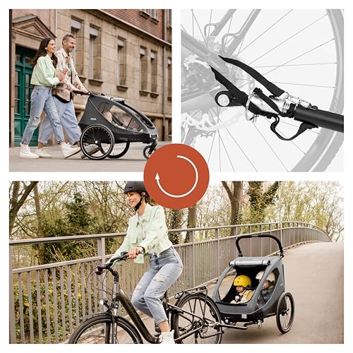 Hauck Dryk Duo 2in1 Fahrradanhänger für 2 Kinder – Grau