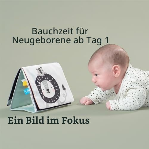 Taf Toys Aufstellbuch Savanne